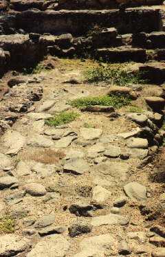 �������� ������� ����� ��������������� ����������, �������� Virgilio Corbo, 1968 �.