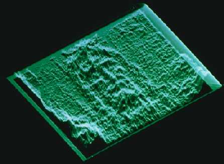 ������������ ������������� ���� � ��������� ��������� � �������� �����������